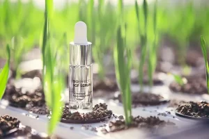 Revolutionizing-blog-img-3